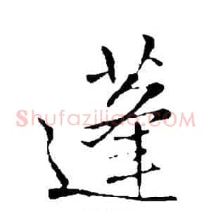 蓬
