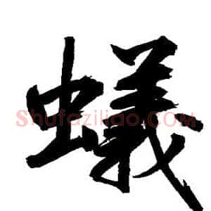 蚁