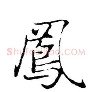 凤