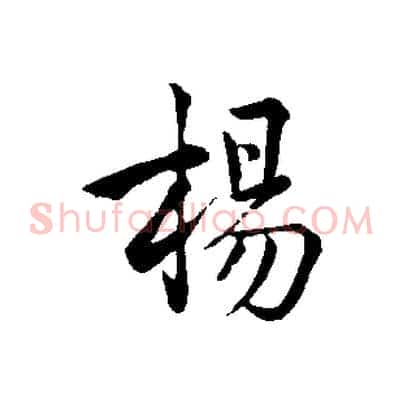 楊