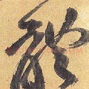 體