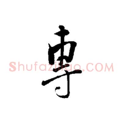 專