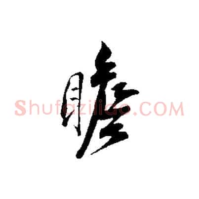 瞻