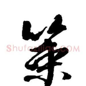 策