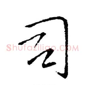 司