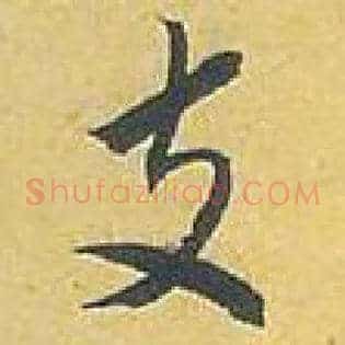 支
