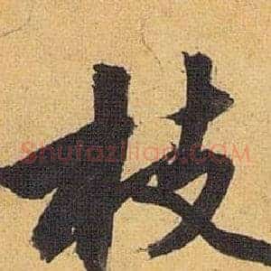 枝