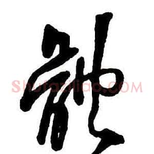 體