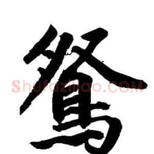 鸳
