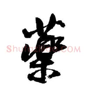 藥