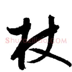 杖