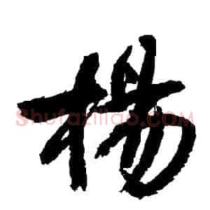 楊