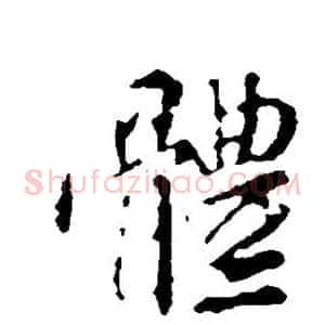 体