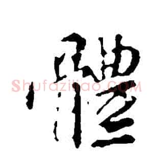 體