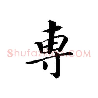 專