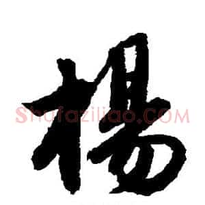 杨