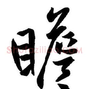 瞻