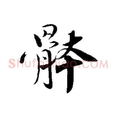 體