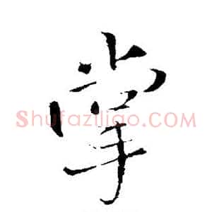 掌