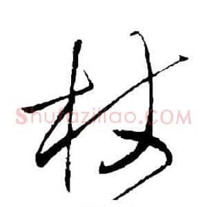 杖