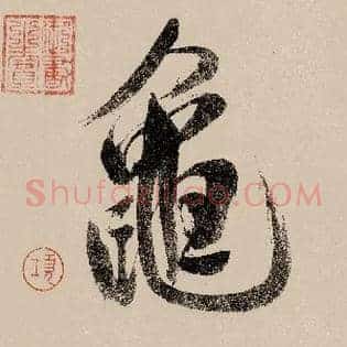 龟