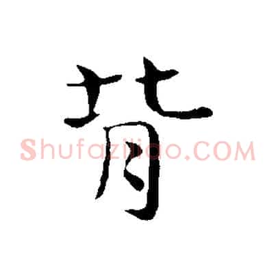 背