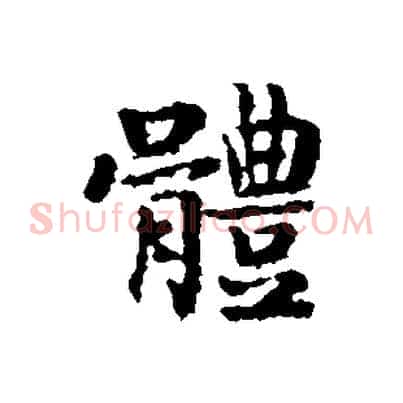 體