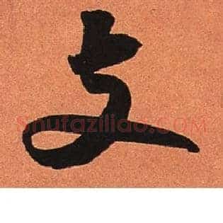 支