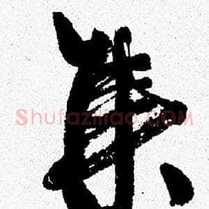 集