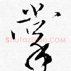 掌