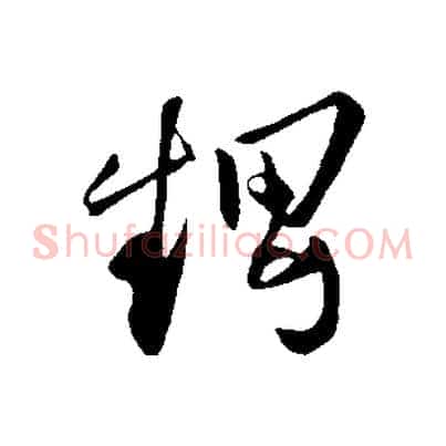 甥