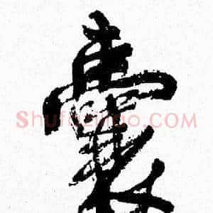 囊