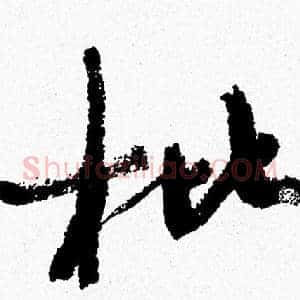 枇