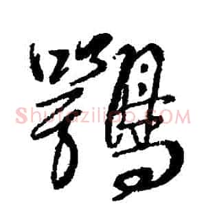 鶚
