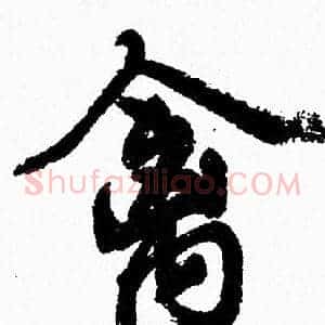 禽