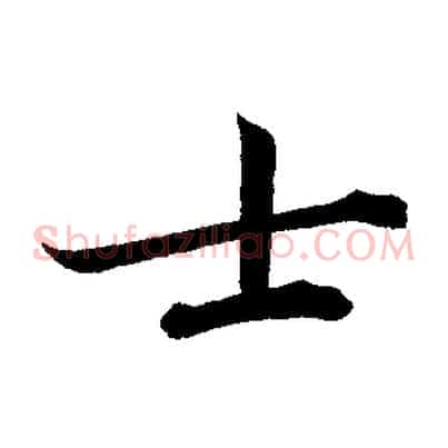 士