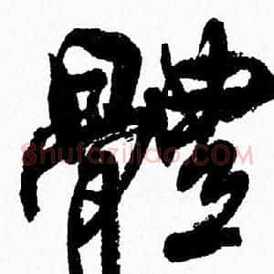 體