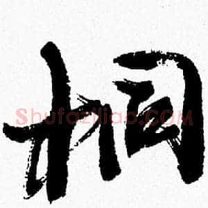 桐