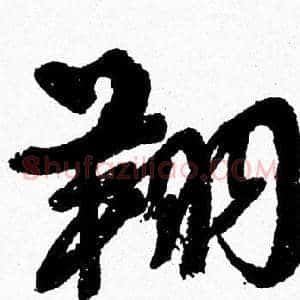 翔