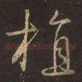 植