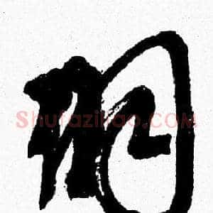 羽