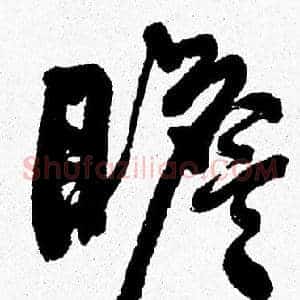 瞻