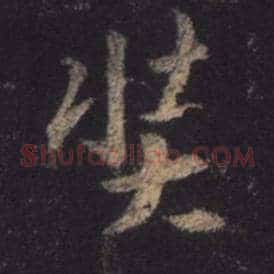 奘