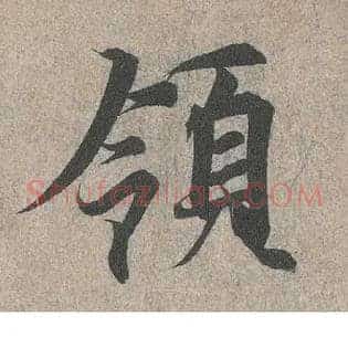 领