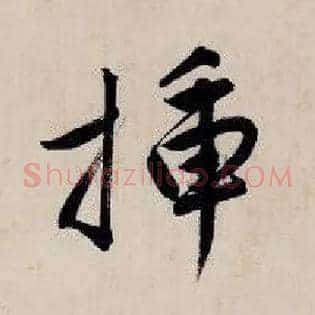 插