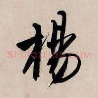杨