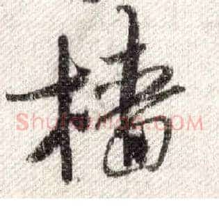 樯