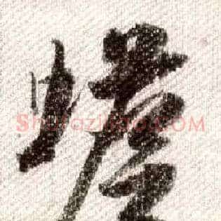 蟾
