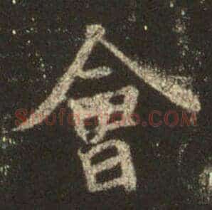 会