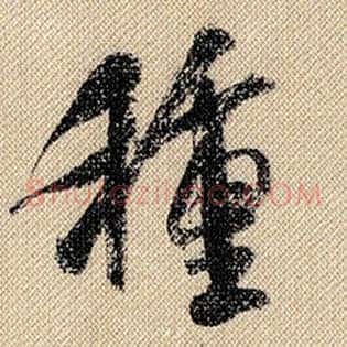 种
